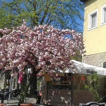 Tavas Barlang * Tapolca