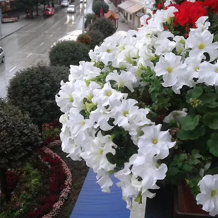 Διαμέρισμα Tavas Barlang *